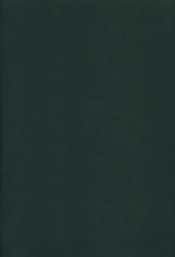 Page 3 of Yamitsuki Patel