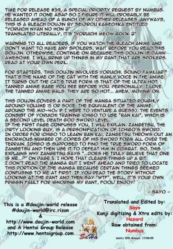 Page 4 of Yoruichi Nyan no Hon 2