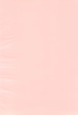 Page 4 of Tsuki no Ura de Aimashou #5 - Let's go to the Darkside of the Moon #5