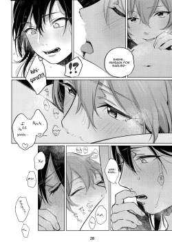 Page 27 of Osake ni Tayoranakya Sex no Hitotsu mo Manzoku ni Dekinai. | When I'm Drunk, I Might Be Able To Have Sex With You
