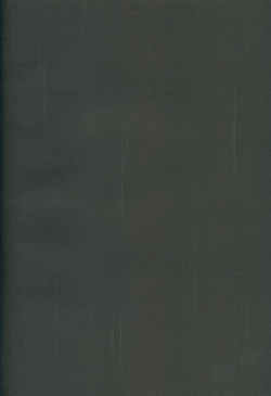 Page 17 of Asashiochan o Sukuu Ohanashi