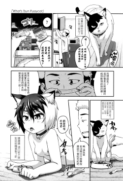 Page 43 of Shogo Beat + 8P Leaflet