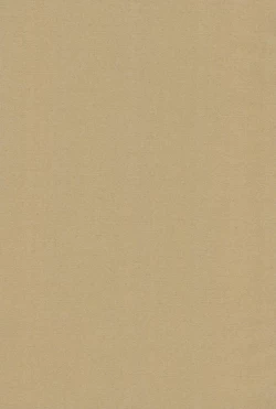 Page 21 of Oreimo Hon