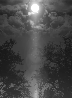 Page 21 of Mannequin-ka II