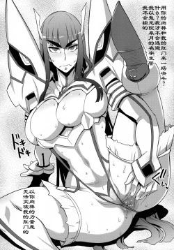 Page 17 of Kiryuuin@NAL