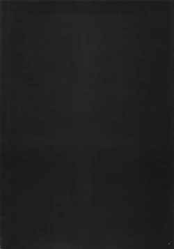 Page 3 of Southern Cross!