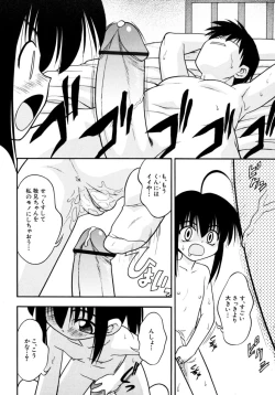 Page 94 of Meconopsis