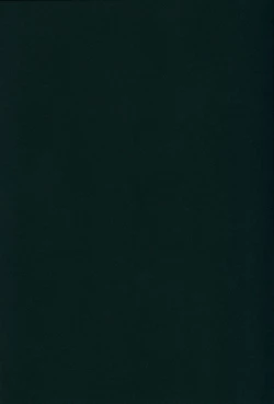 Page 2 of Kashima-san to