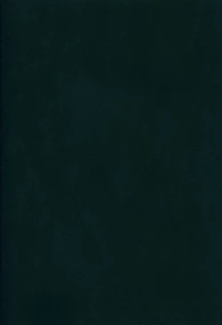 Page 3 of Terutsuki chan no zyunan