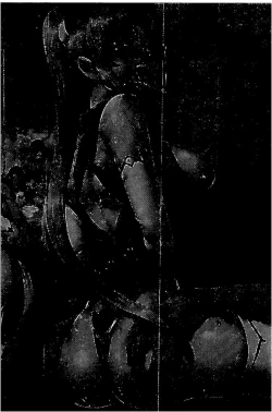 Page 82 of Midara na Kajitsu no Kuroi Yuuwaku  | 淫蕩的果實之暗黑誘惑