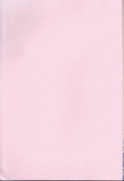 Page 2 of Lovely Fighter