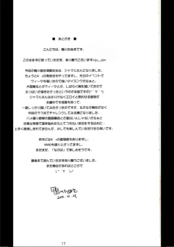 Page 17 of Y.D.M Ver.SH Limited Edition