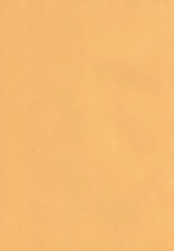 Page 27 of Ochinko Sensei