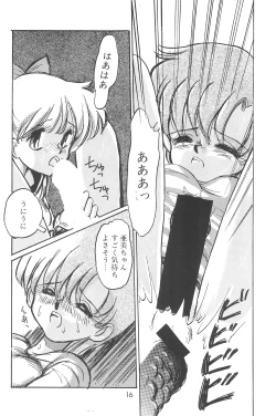 Page 18 of (C48 [Misty Midnight (Shirasaka Biyu)] Bikou (Bishoujo Senshi Sailor Moon)