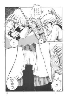 Page 21 of (C48 [Misty Midnight (Shirasaka Biyu)] Bikou (Bishoujo Senshi Sailor Moon)