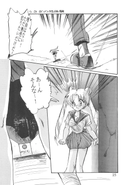 Page 27 of (C48 [Misty Midnight (Shirasaka Biyu)] Bikou (Bishoujo Senshi Sailor Moon)