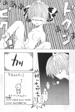 Page 22 of Sakura Book