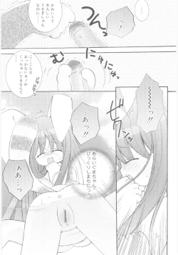 Page 43 of Imouto no Dorei