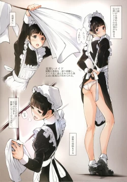 Page 5 of MAID IROIRO