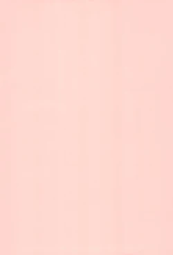 Page 4 of THE SUZI Sono Suzi no Hon