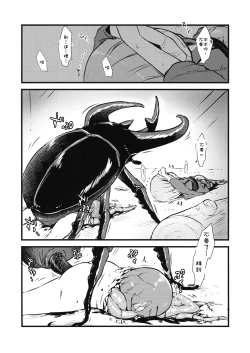 Page 9 of Shinmyoumaru VS Caucasus Ookabuto