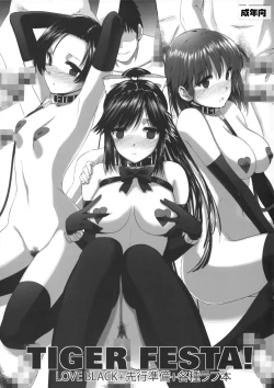 Page 1 of Tiger Festa!