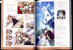 Page 46 of Walkure Romanze Visual Fanbook