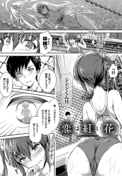 Page 4 of Shoujo Colorful - Girl's Colorful