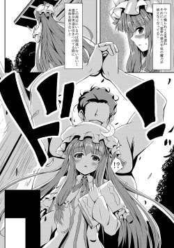 Page 5 of Touhou Ryourintan san