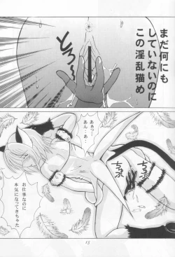 Page 14 of Tokyo Nekomusume