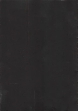 Page 4 of Second Virgin