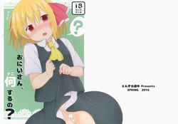 (Reitaisai 13) [Tonzura Douchuu (Kazawa)] Onii-san, Nani Suru no? (Touhou Project)
