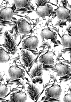 Page 49 of Super Storawberry