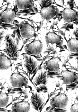 Page 4 of Super Storawberry