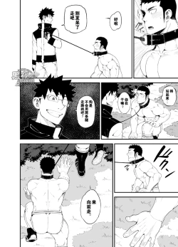 Page 14 of capture:2