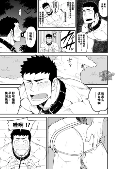 Page 21 of capture:2