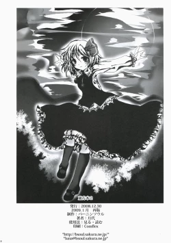 Page 17 of Touhou hon 2