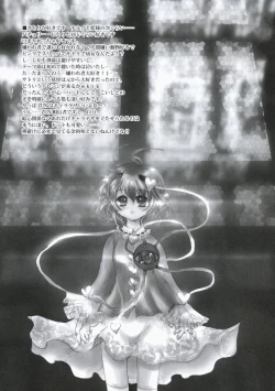 Page 6 of Touhou hon 2