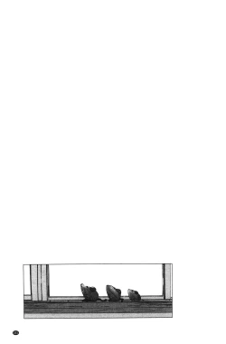 Page 158 of Watashito Iikoto Shiyo?