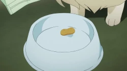 Page 25 of Deai no Maoushiro!