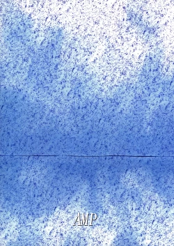 Page 22 of Machi-chan Tokai wa Abunai yo?