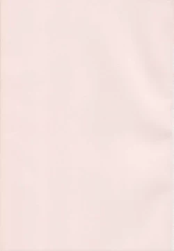 Page 209 of Imouto no Ana