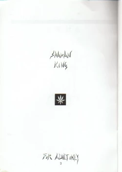 Page 2 of shaman king