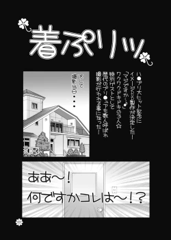 Page 3 of PreChaku PreMan