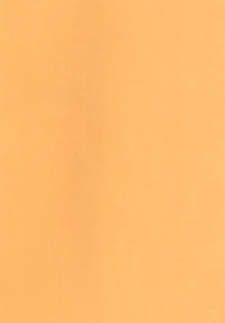 Page 4 of Kaminari no Chihare | 雷雨转晴