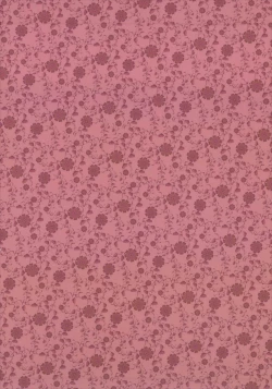 Page 24 of Yaku + Ore + Kappa no Biorythm