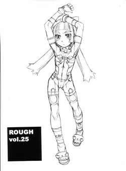 Download Rough Vol. 25