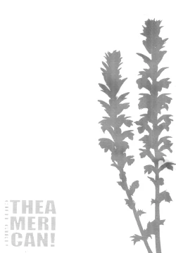 Page 2 of CUTE GIRL! THE AMERICAN!