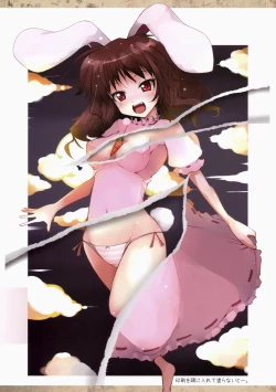 Page 12 of Touhou Mougaroku