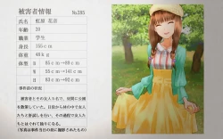 Page 33 of Chuukan Houkokusho